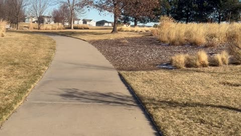 Going out for a walk