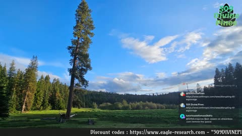 266 - Billionaire Vs Billionaire, AI vs US