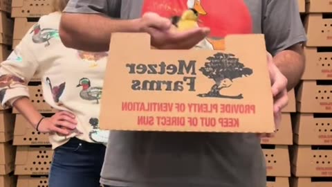my husband is going to show you his ducks and you better be nice to him