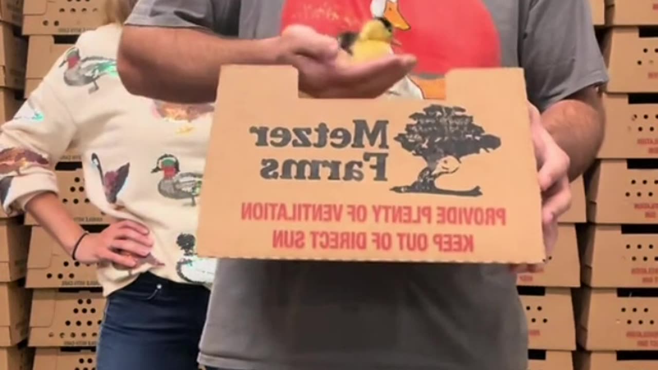 my husband is going to show you his ducks and you better be nice to him