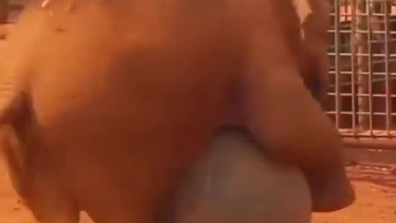 He's just a baby 🥺😍