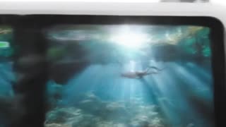 GoPro Limited Edition HERO13 - Waterproof Action Camera with 5.3K60 Video, 27MP Photo