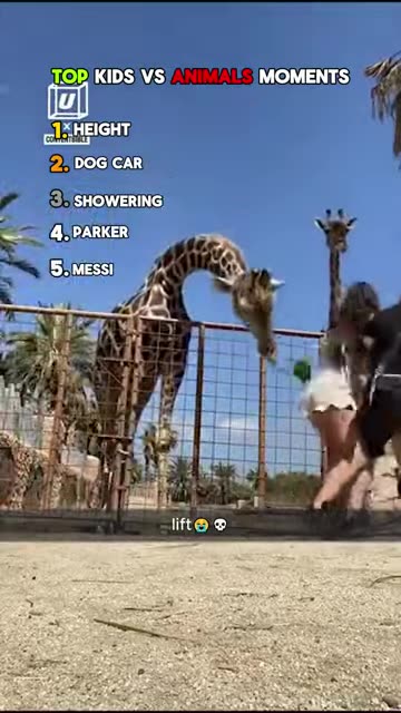 Top kid vs animal