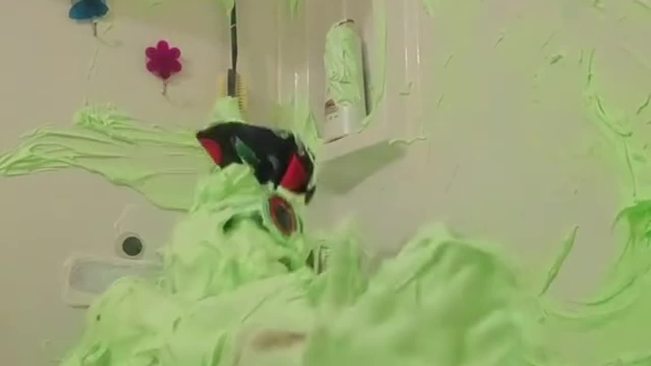 😂😂