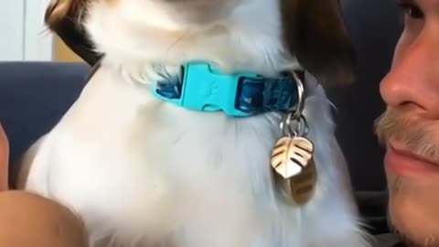 Dog laughing 😂😂#pet #cat #dog #cute #animals #foryou #fyp