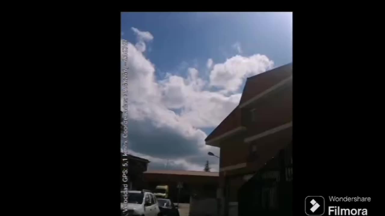 Tiran una piedra cuando paso con mi perro para intentar asustarnos