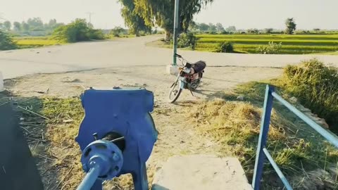 Walking Along the Rice Canal Regulator Naudero #maxrecords #larkana #sindh #pakistan