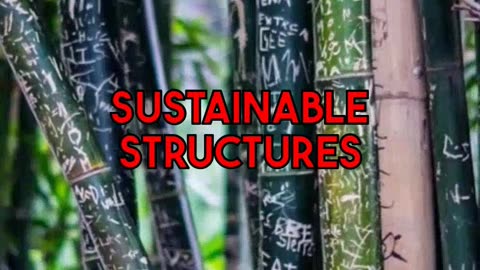 Sustainable Architecture Bamboo Shaping Design Automation