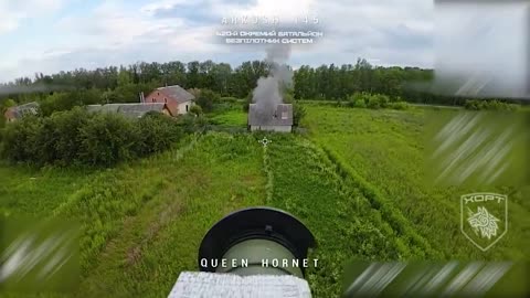 👑🐝 Ukraine Russia War | Queen Hornet's Grenade Launcher in Action | RCF