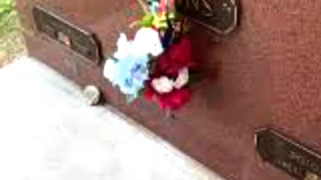 FAMOUS GRAVES - VOL. 472: CONWAY TWITTY