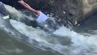 Funny video