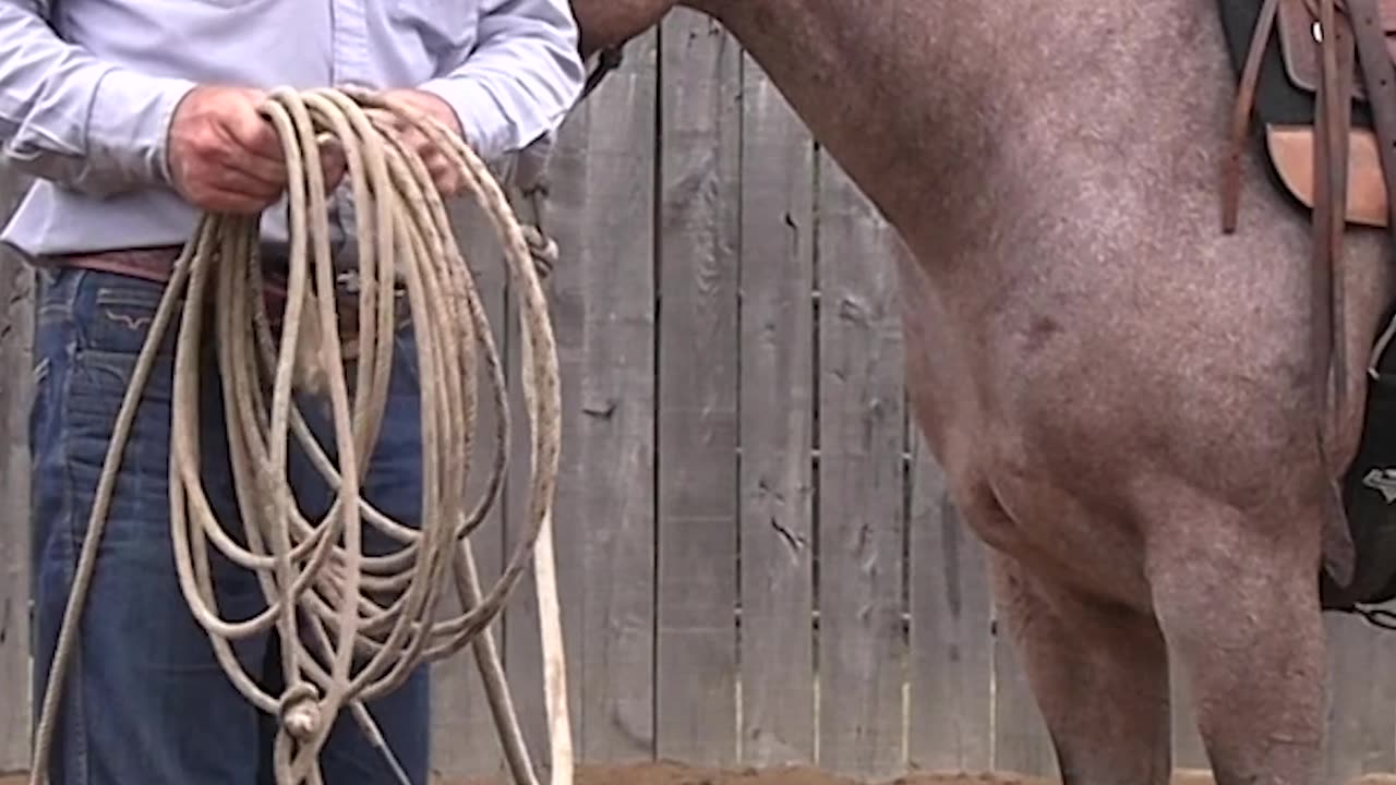 If your horse won't stand still for this, turn 'em loose.