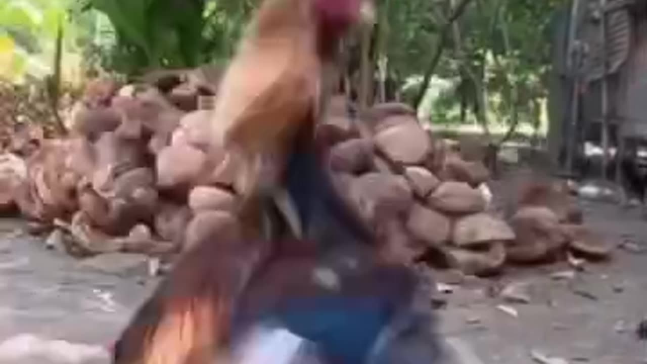 Tricky