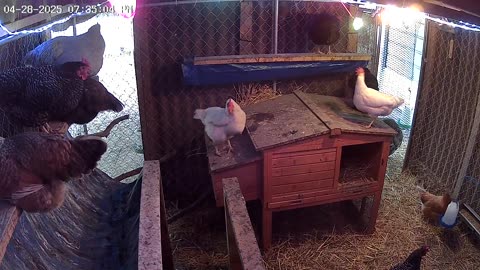 Time to Perch Up!