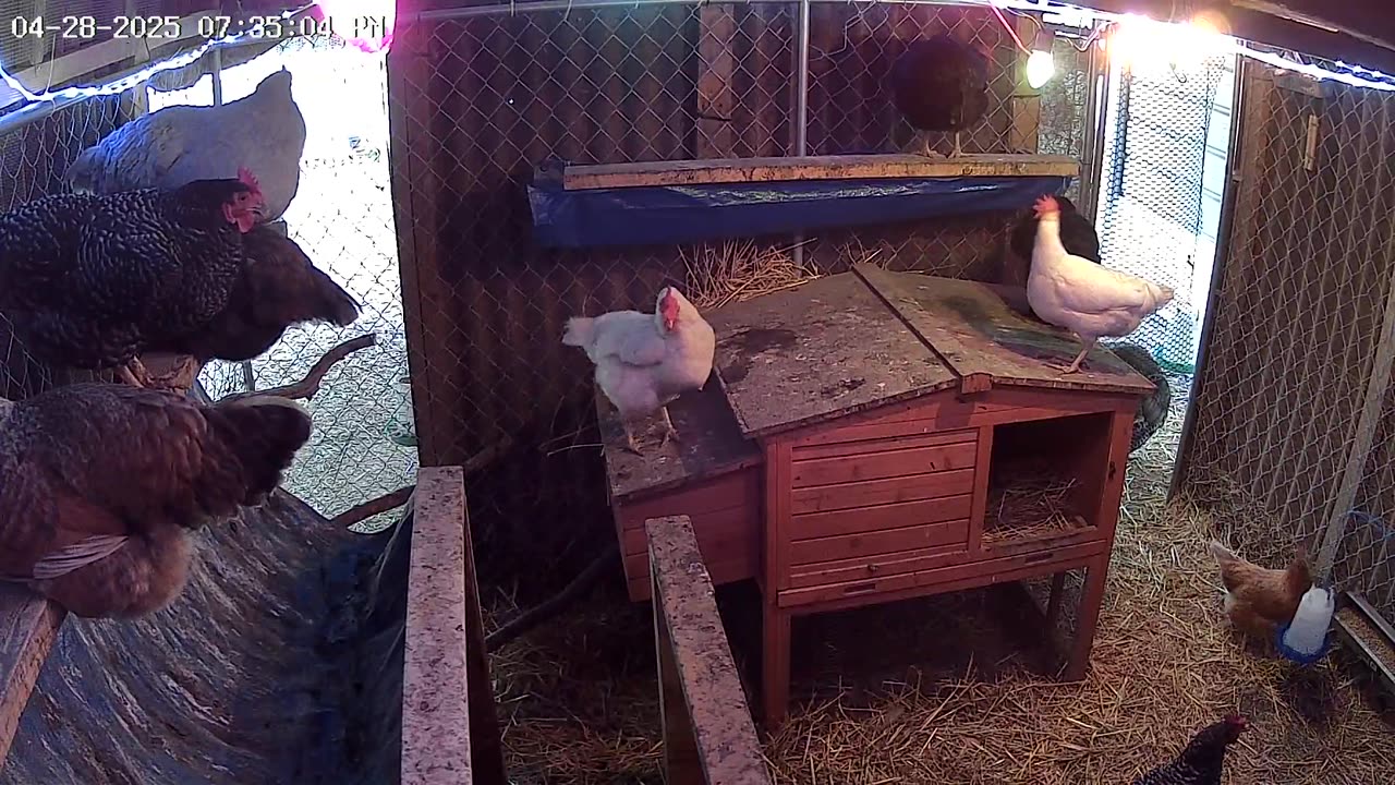 Time to Perch Up!