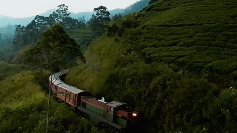 This is Sri Lanka 🇱🇰 Sri Lanka boasts a stunning natural landscape that captivates the senses.