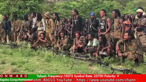 Gabaasa Tarkaanfii ONM-ABO Waxaabajjii 21-2025 itti dhiyaadhaa!