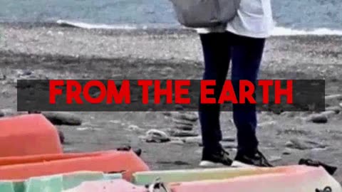 The Judgment on Halloween Plastic Pollution