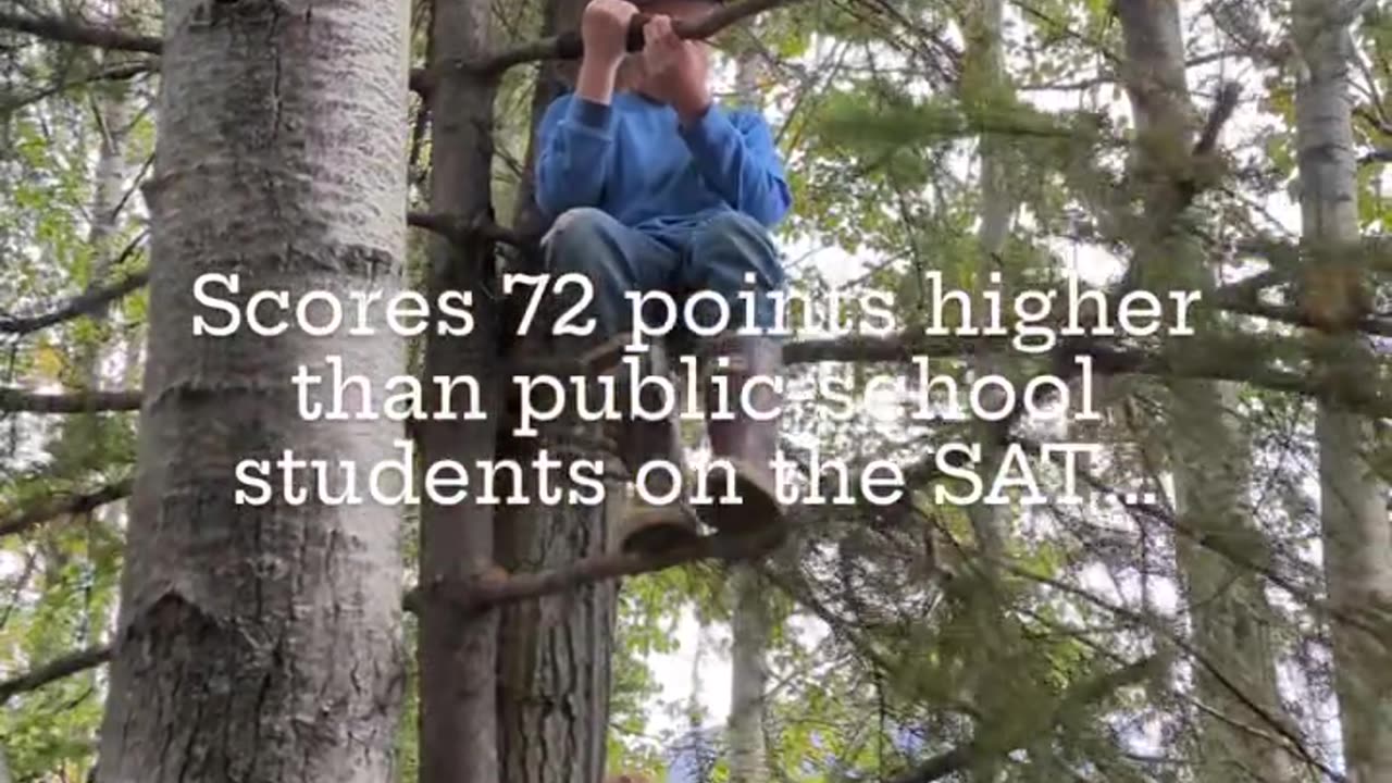 home school vs public school