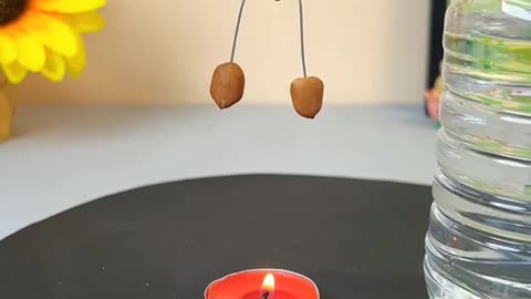 Spinning Peanut Toy