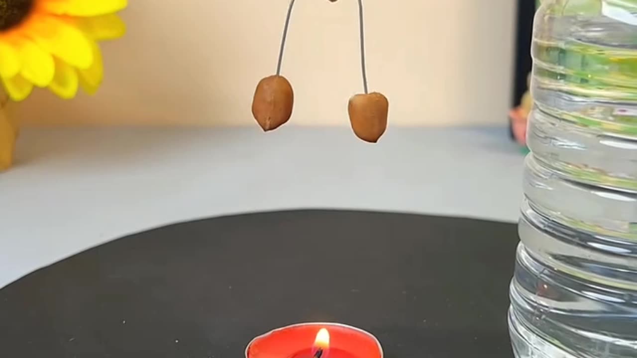Spinning Peanut Toy