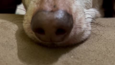 My Poor Baby