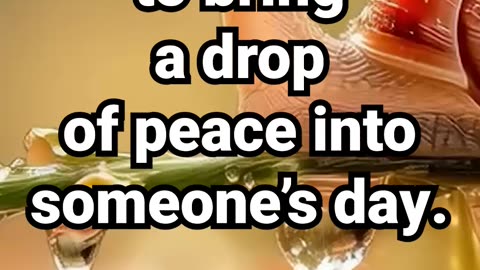 Share this loop to bring a drop of peace into someone’s day #peacefulmeditation #calmmusic