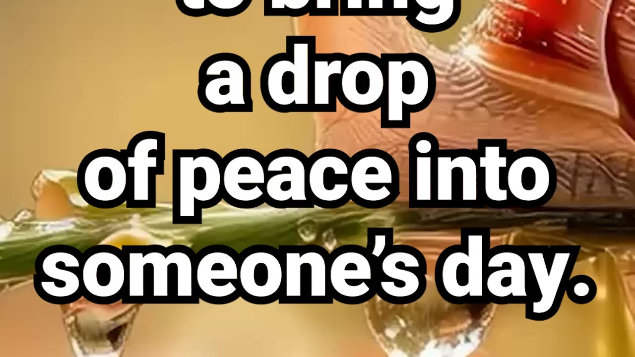 Share this loop to bring a drop of peace into someone’s day #peacefulmeditation #calmmusic