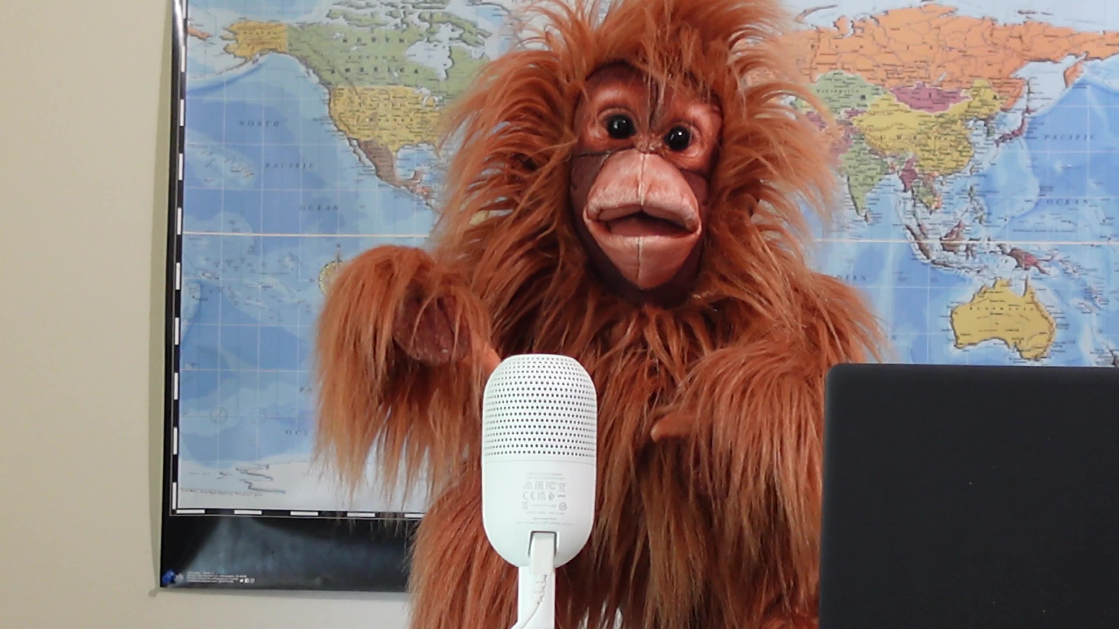 Patty Hajdu a useful tool in Carneys cabinet...