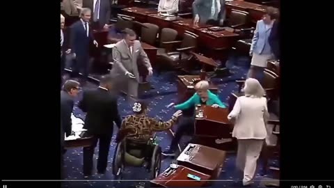 🚨 Elizabeth Warren vừa NGÃ trên sàn Thượng viện