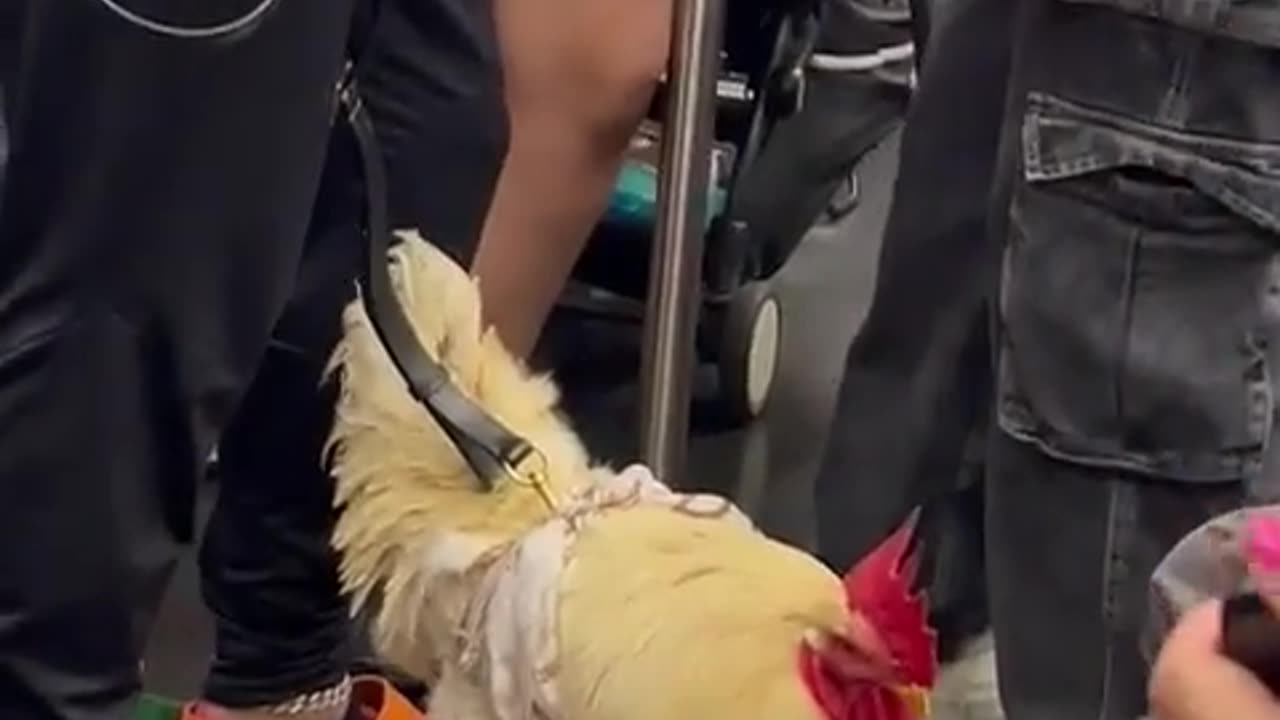 🗽😂 Only in NYC Moments! | FunFM