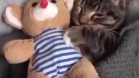 😘 📝#Método ☝️#Para 🫰#Encontrar 🫶🏼A 🫵#Tú 😸#Michi 🤔#Perdido & 😍#Te 🥰#Quiero ❣️#Mucho 😺#Gatito.👍