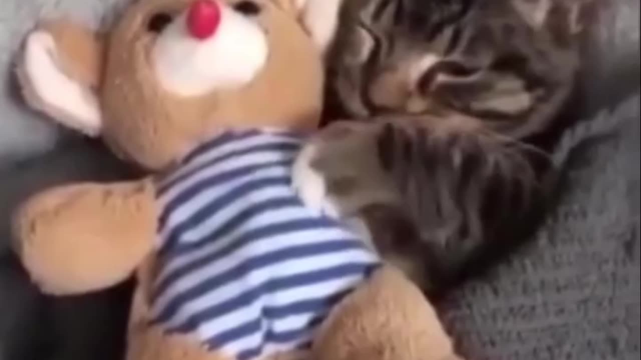 😘 📝#Método ☝️#Para 🫰#Encontrar 🫶🏼A 🫵#Tú 😸#Michi 🤔#Perdido & 😍#Te 🥰#Quiero ❣️#Mucho 😺#Gatito.👍