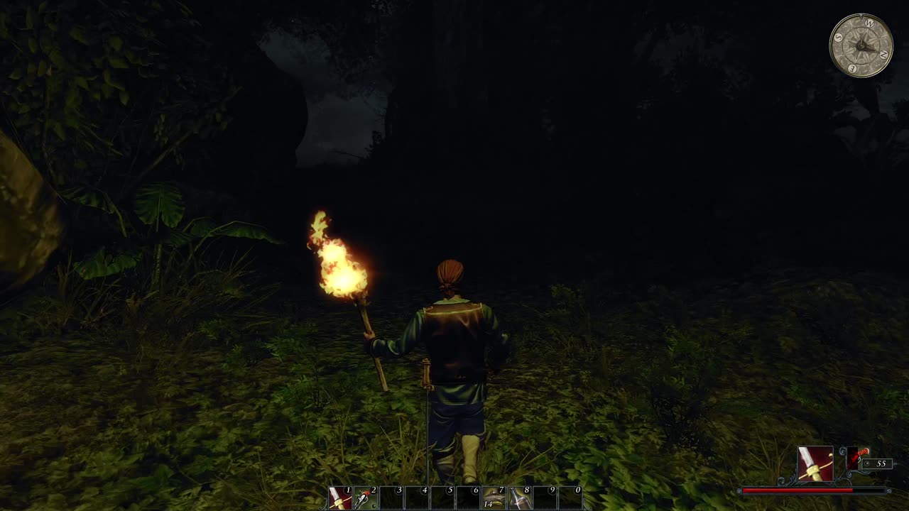 [1/3] Risen 2 (Pirate) Episode 3.1 - Tacarigua Island [NC]