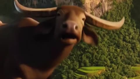 Water buffalo jumping from the cliff
