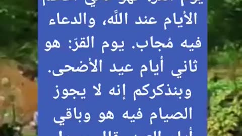 من فاته يوم عرفه لا يفوته يوم القر؟