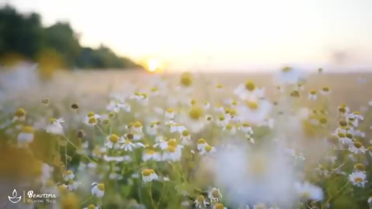 relaxaxing music part 5