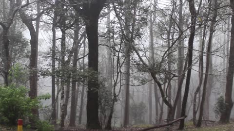 Beautiful places in Sri Lanka Nature Town