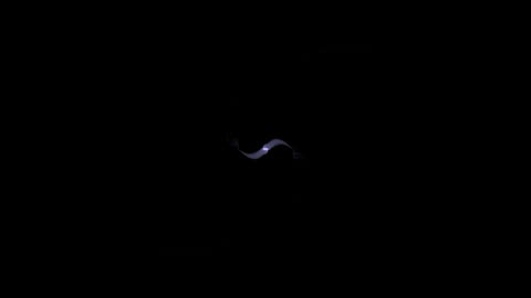 Symphony #118, The Sea of Confusion, in one movement, Op 423