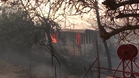 Greek residents defend homes as wildfire tears through village