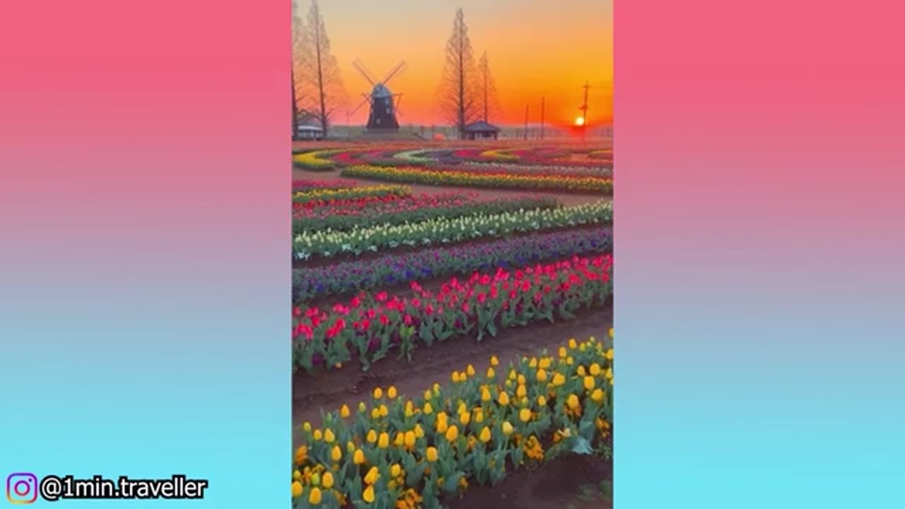 Satisfying & Relaxing Video with Ambient Cozy Music | Try Not to Say WOW #Z5