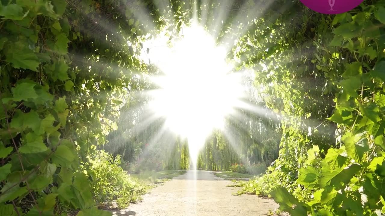 The Gift of Life and Death: A Universal Truth