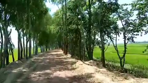 "বাইকে ঘুরে দেখলাম গ্রামের রাস্তাঘাট | Rural Ride Experience | Nature Vlog Bangladesh"