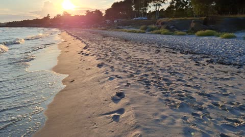 Vid stranden i närheten av Tyge å 1 Aug. 2025