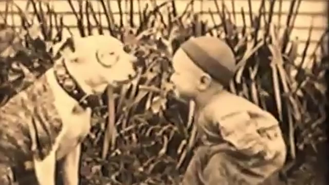 y2mate.com - 63 Our Gang Olympic Games 1927_360p