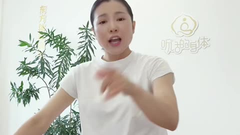 988.蹲拧式拉伸十法