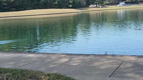 Soaking Wet Pants After Failed Fishing Cast