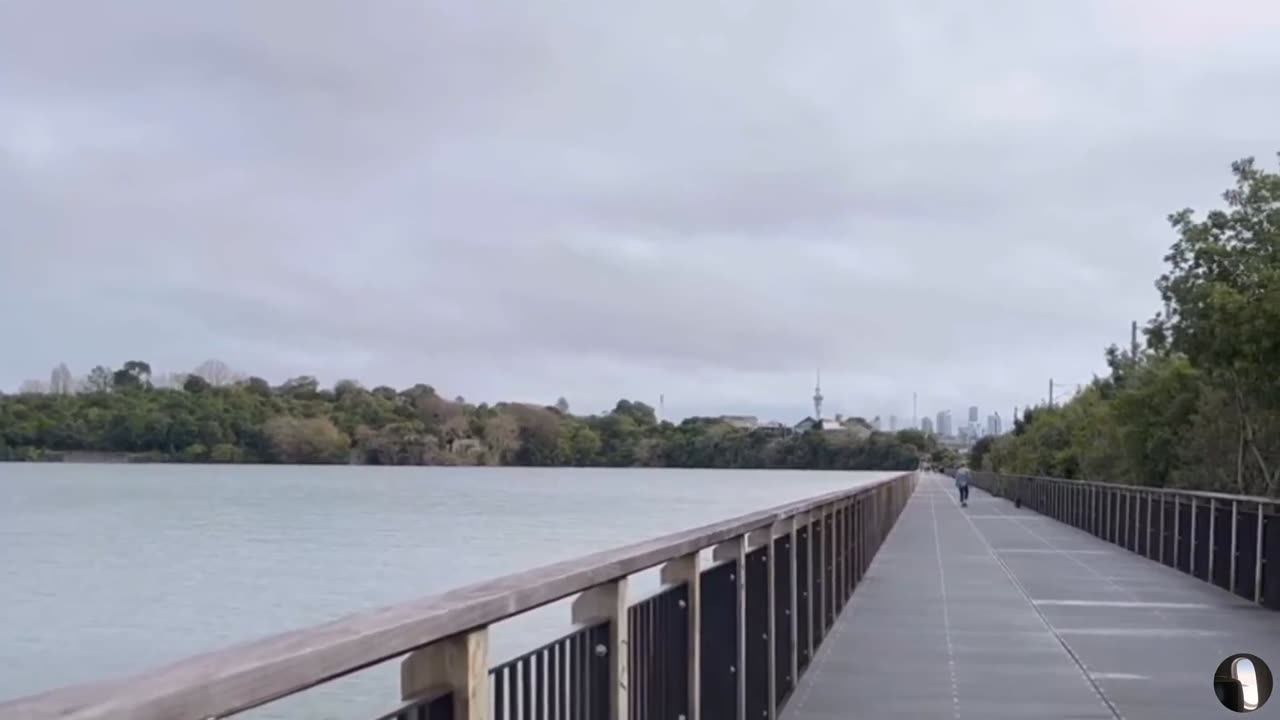 Wilson’s Beach Auckland New Zealand Tour