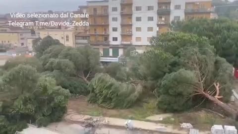 Il massacro verde dell’agenda 2030