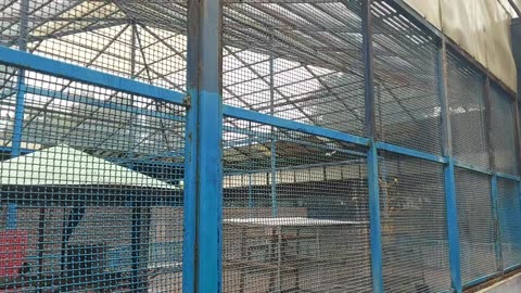 Many more birds in birds park in sai palkhi in shirdi